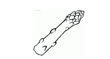 QQ红包芦笋图案怎么画好识别？芦笋图案最容易识别画法分享