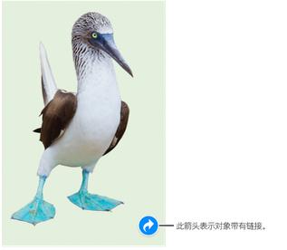 Keynote超链接如何编辑？超链接编辑方法图文分享