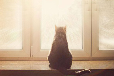 PS添加光线效果如何添加？添加光线效果添加流程图文详解