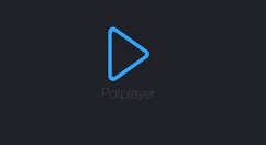PotPlayer徽标如何调整？徽标调整方法图文详解