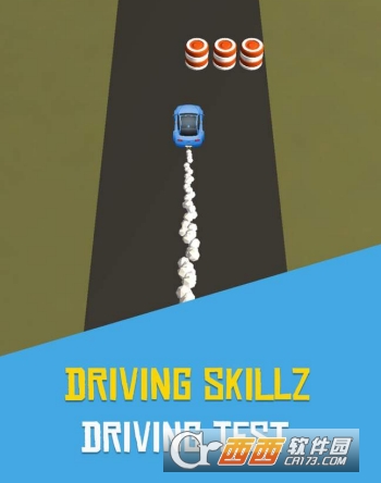 驾驶技巧Driving Skillz
