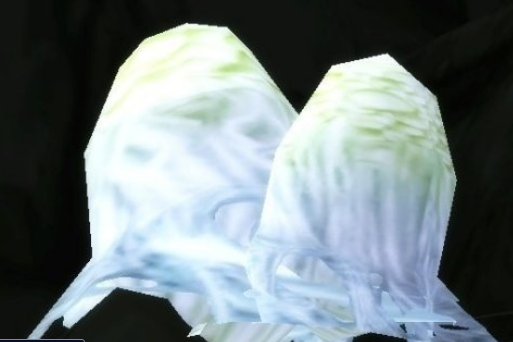 魔兽世界怀旧服蜘蛛卵任务如何完成？蜘蛛卵任务玩法指南分享