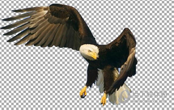 图片工厂抠图如何操作?抠图操作流程图文推荐