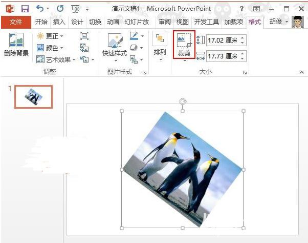 PPT2013怎么进行斜向裁剪图片？实现斜向裁剪图片教程分享