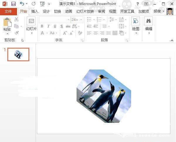 PPT2013怎么进行斜向裁剪图片？实现斜向裁剪图片教程分享