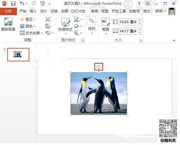 ppt怎样设置斜向裁剪？进行图片斜向裁剪教程分享