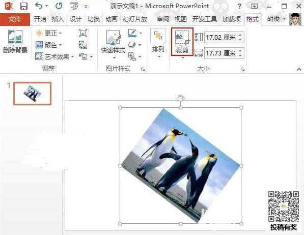 ppt怎样设置斜向裁剪？进行图片斜向裁剪教程分享