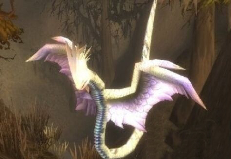 魔兽世界怀旧服哈尤克标注在哪？哈尤克坐标寻找方法介绍