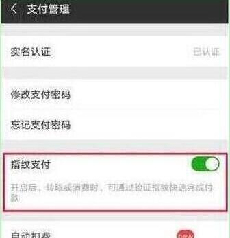 荣耀20s怎样开启微信指纹支付？设置微信指纹支付步骤一览