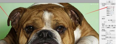 Adobe Photoshop中液化工具怎么操作？使用液化工具方法介绍