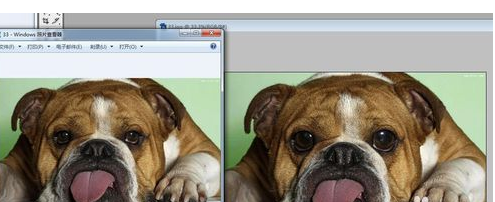 Adobe Photoshop中液化工具怎么操作？使用液化工具方法介绍
