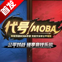 代号MOBA九游版