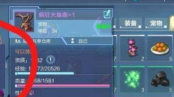 我的起源弓箭宠物怎么选择?我的起源弓箭宠物选择推荐
