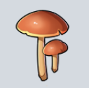 我的起源蘑菇怎么获得-蘑菇材料配方使用效果一览