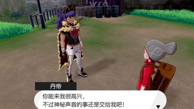 宝可梦剑盾尖钉镇郊外精灵有哪些？尖钉镇郊外精灵种类介绍