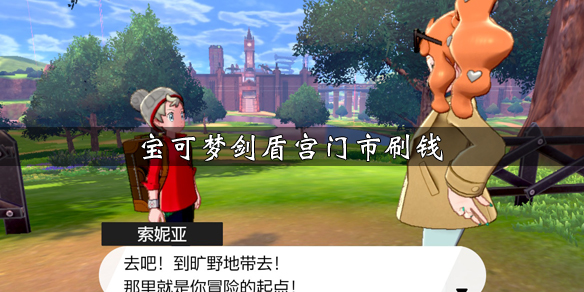 宝可梦剑盾宫门市有哪些刷钱方法？宫门市刷钱技巧介绍