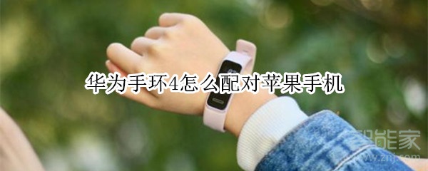 华为手环4怎么和苹果手机配对？配对苹果手机流程介绍