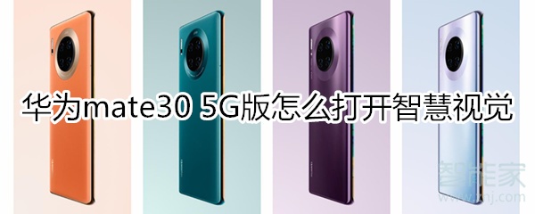 华为mate30 5G版智慧视觉功能怎么用？进入智慧视觉方法介绍