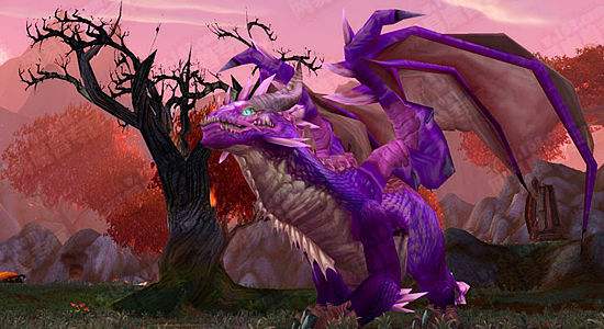 魔兽世界怀旧服龙筋箭袋任务需求是什么？龙筋箭袋任务需求及完成奖励介绍