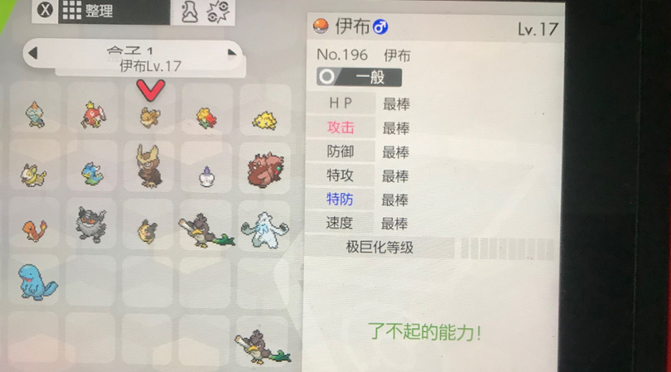 宝可梦剑盾个体值如何查看？个体值查看方法介绍