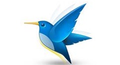 迅雷下载任务提示违规怎么回事？下载任务提示违规处理方法介绍