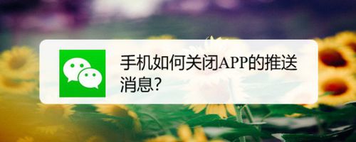 手机怎样关掉APP推送消息？关闭APP推送消息方法一览