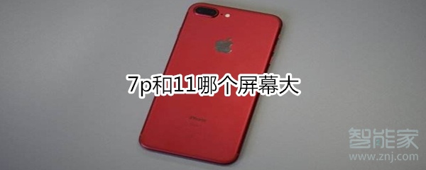 苹果7plus和苹果11哪个屏幕大？两款手机屏幕对比