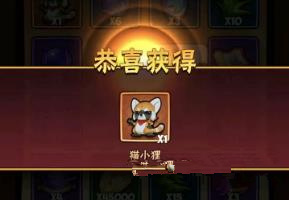 暴走大侠猫小狸如何获得？猫小狸获得方法