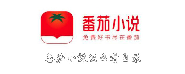 番茄小说目录怎么打开？看目录方法一览