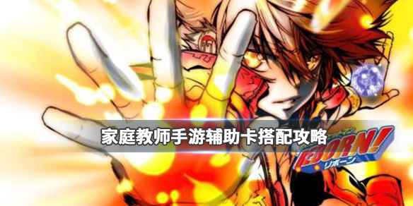 家庭教师手游辅助卡怎么搭配？辅助卡搭配技巧分享