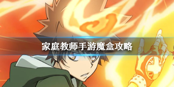 家庭教师手游魔盒有哪些玩法？魔盒玩法及奖励介绍