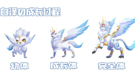 QQ飞车白泽技能是什么？