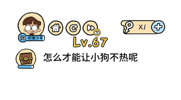 脑洞大大大第67关怎么通关